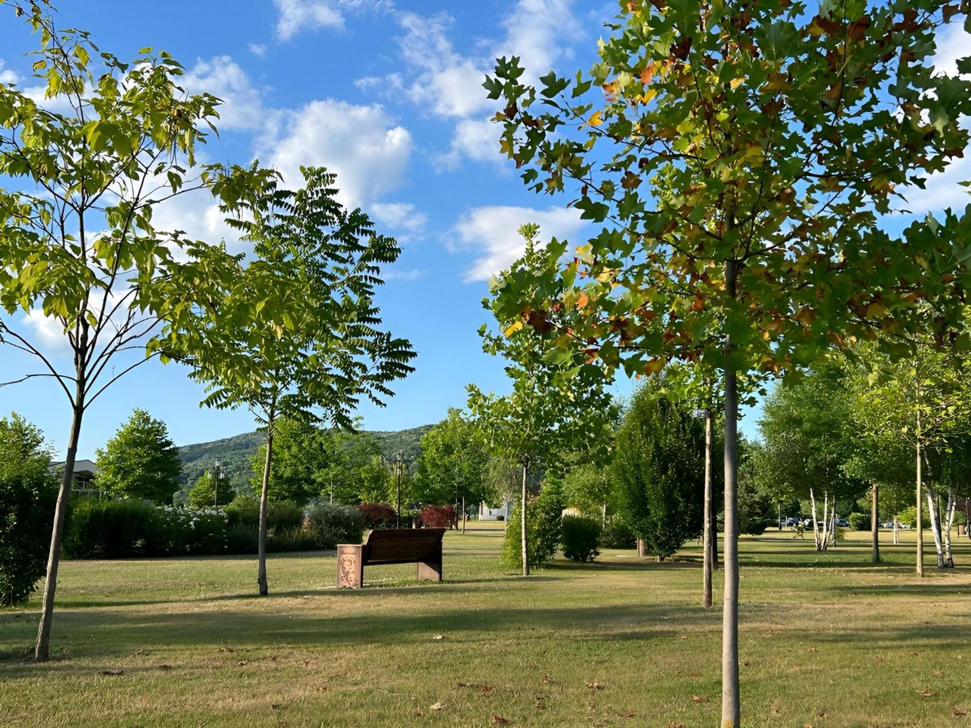 Vila Cu Mesteceni Campina Exterior foto